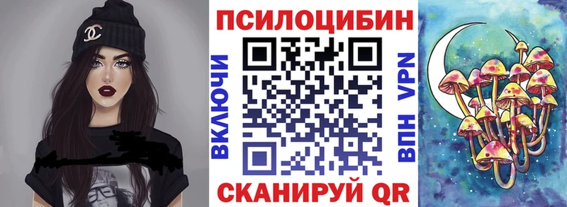 Псилоцибиновые грибы мицелий  наркошоп  Лениногорск 