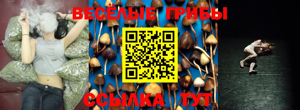 Лениногорск  магазин    Вход с VPN  Псилоцибиновые грибы Cubensis 