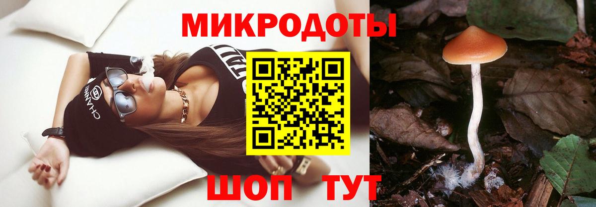 Галлюциногенные грибы мицелий Лениногорск